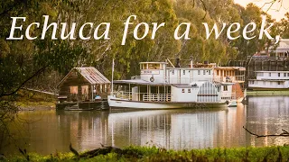 Mildura to Echuca, 7 Days in Echuca, Murray River Paddle Steamers, Morrisons Winery, EP-79