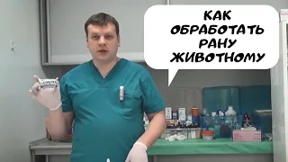 Как обработать рану животному