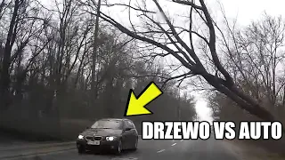 Nagłe złamanie drzewa w miejscu jadących samochodów... Polskie Drogi