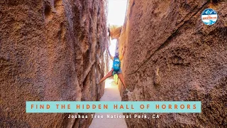 Finding the Hidden Hall of Horrors in Joshua Tree NP