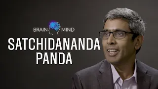 Circadian Rhythms and the Brain - Satchin Panda at BrainMind