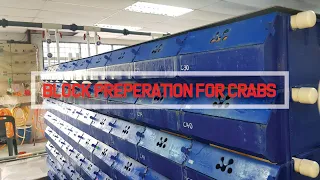 Preparation of mud crab farming system before stocking