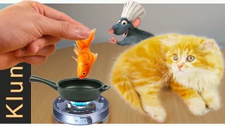 Kluna Tik eating Mini Food 🐠 Tom cat eating Fish! ASMR eating MUKBANG Kluna Tik's FAN