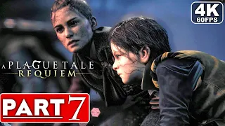 A PLAGUE TALE REQUIEM Gameplay Walkthrough Part 7 [4K 60FPS PC ULTRA] - No Commentary (FULL GAME)