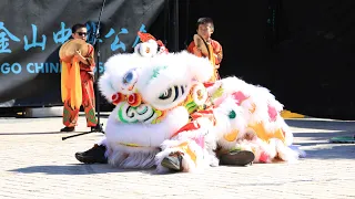 Hung Hing Lion Dance Association - ‘Awakening of the Dragon’ Bendigo Easter Festival 2024