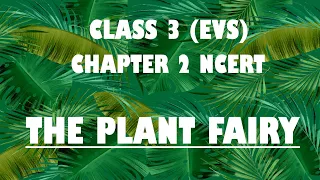 NCERT Class 3 EVS Chapter 2 'The Plant Fairy' explanation | CBSE Class 3 EVS Chapter 2