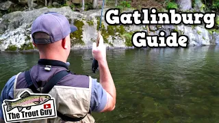 Come Guide Tyler W Me | Gatlinburg Fly Fishing