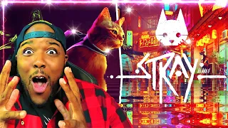STRAY OFFICIAL RELEASE DATE TRAILER REACTION | STATE OF PLAY 2022 🐈