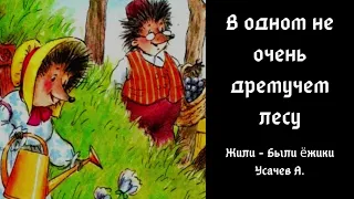 Глава 1. В одном не-очень-дремучем лесу.Усачев А.