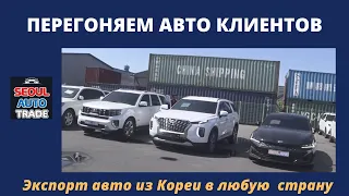 Авто из Кореи. Перегоняем клиентские автомобили. KIA Mohave, Hyundai Palisade. Самые популярные авто