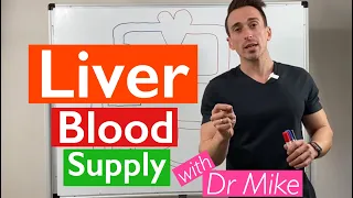 Hepatic Circulation (Liver Blood Supply)