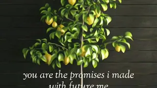 Gustixa - lemon tree ft. Rxseboy (Lyrics Video)