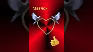 Боходир Мамажонов мактуб ездим