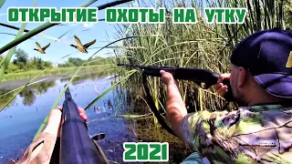 Охота на утку 2021 / Відкриття полювання на пернату дичину 2021 / Охотничьи истории / Duck hunting