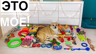 СЧИТАЕМ И ПОКАЗЫВАЕМ ВСЕ игрушки нашей собаки!