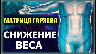 ✔️Матрица Гаряева - СНИЖЕНИЕ ВЕСА / Здравушка #матрицагаряева #снижениевеса #исцелениезвуком