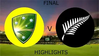 World Cup 2015 Final - Australia V New Zealand highlights || Ashes Cricket Gameplay
