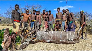 Hadzabe Tribe CATCH & EAT the Biggest Antelope