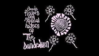 The Dandelion - Seeds Flowers and Magical Powers of The Dandelion (Full Album)