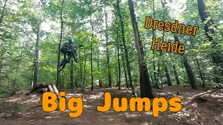 Big jumps in der Dresdner Heide gesendet 😱 #dresden #mtb