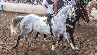 Que Belleza De Animal | El Embustero Vs El Cantador, Carril 2000 Durango Mex