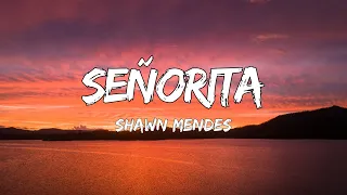 Shawn Mendes & Camila Cabello - Señorita (Lyrics)