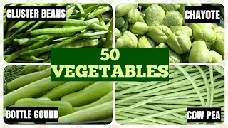 50 Vegetable Names in English