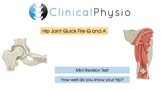 Quick Fire Q & A: Hip Joint | Clinical Physio
