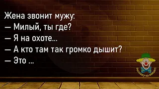 🤡Два Психа Сидят В Коридоре Психушки...Большой Сборник Смешных Анекдотов,Для Супер Настроения!