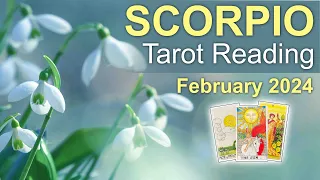 SCORPIO TAROT READING "A MESSAGE MARKS A BRAND NEW CHAPTER! A RE-BALANCE IN LOVE" February 2024