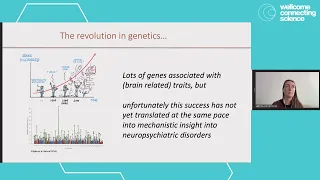 Genomics of Brain Disorders 2023 | A neuroscience keynote: From GWAS to Function (Danielle Posthuma)