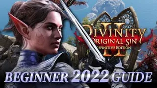 2022 Beginner's Guide For Divinity Original Sin 2 Definitive Edition