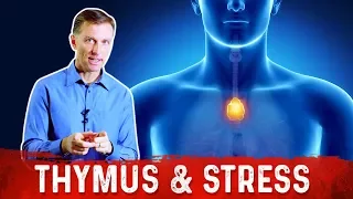 Dr. Berg Talks About Thymus Gland, Stress and Immune System