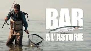 Bass fishing with the Asturie : our tips