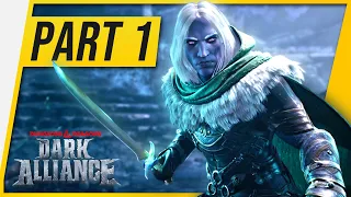 Dungeons & Dragons Dark Alliance Group GAMEPLAY - Walkthrough Part 1 SOLO (First Impressions RPG)