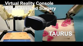 Robot assisted Virtual Reality (VR) Surgery - TAURUS