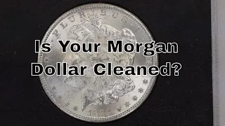 Is Your Morgan Dollar Cleaned? How To Identify Cleaned Morgan Dollars