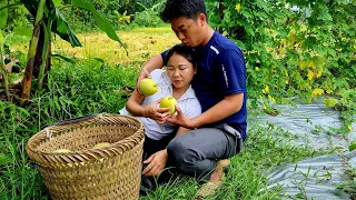 The girl went into the garden to pick melons, he came to help me immediately