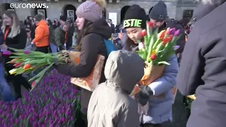 Día Nacional del Tulipán en Amsterdam