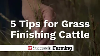 5 tips for grass finishing cattle