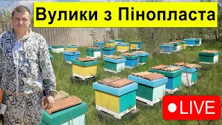 Навіщо Вулики 6-8 рамок з ППС ? ✅ Стрім 🐝  Бджільництво
