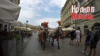 Польша, Краков, Август, 18 [Poland, Krakow, August,18]