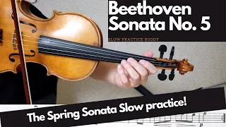 Beethoven Sonata No. 5 (Spring Sonata) with Slow Practice Guide!