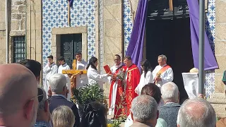 Domingo de Ramos em Penafiel