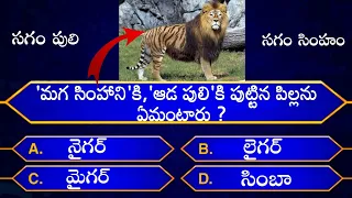 Interesting Questions In Telugu|Episode-47|By Rk thoughts|Unknown Facts|Genera Knowledge|Telugu Quiz