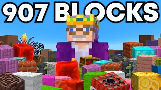 I Collected EVERY Block in 24 Hours