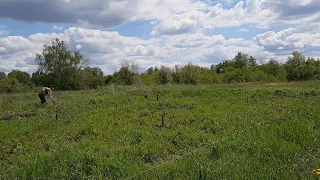 ДЕЛА ОГОРОДНЫЕ И НЕ ТОЛЬКО /ЖИЗНЬ В ДЕРЕВНЕ