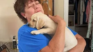 When your home opens to welcome a new puppy!