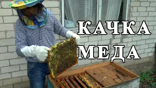 Качка Мёда. Как Выкачать мед из улья.