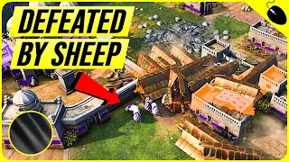 The Most Powerful Unit In FFA: The Sheep